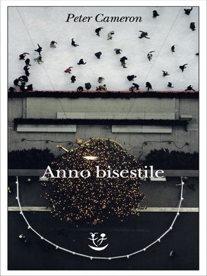cover image of Anno bisestile